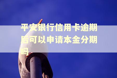 平安银行信用卡逾期后可以申请本金分期吗