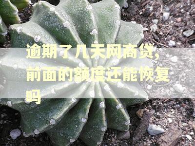 逾期了几天网商贷,前面的额度还能恢复吗