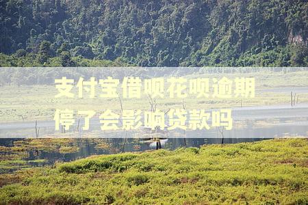 支付宝借呗花呗逾期停了会影响贷款吗