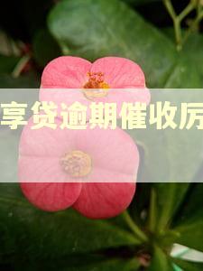 太享贷逾期催收厉害吗