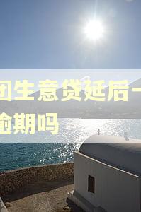美团生意贷延后一天算逾期吗