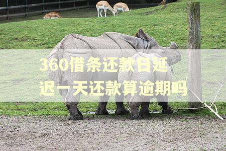360借条还款日延迟一天还款算逾期吗