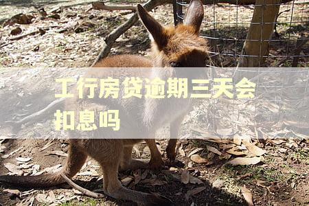 工行房贷逾期三天会扣息吗 工行房贷逾期三天会扣息吗