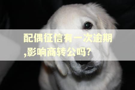 配偶征信有一次逾期,影响商转公吗?