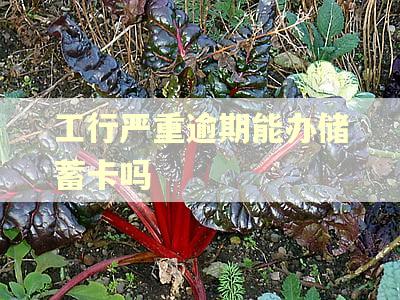 工行严重逾期能办储蓄卡吗