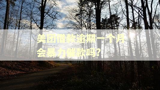 美团借款逾期一个月会暴力催款吗?