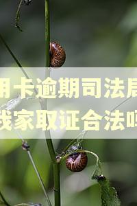 信用卡逾期司法局说来我家取证合法吗