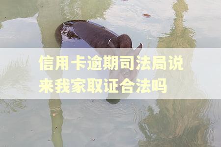 信用卡逾期司法局说来我家取证合法吗 信用卡逾期司法局说来我家取证合法吗