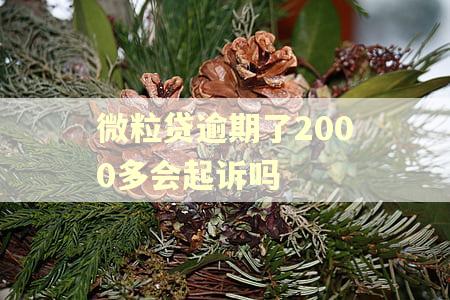 微粒贷逾期了2000多会起诉吗 微粒贷逾期了2000多会起诉吗