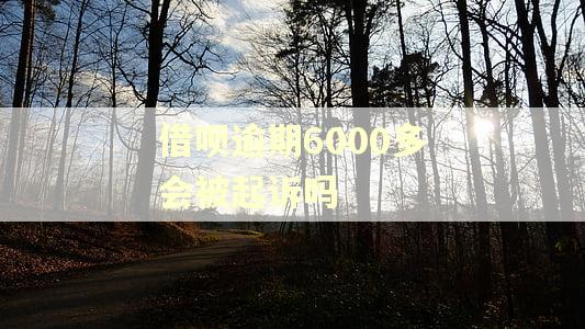 借呗逾期6000多会被起诉吗