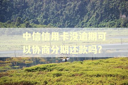中信信用卡没逾期可以协商分期还款吗?