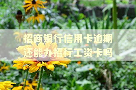 招商银行信用卡逾期还能办招行工资卡吗