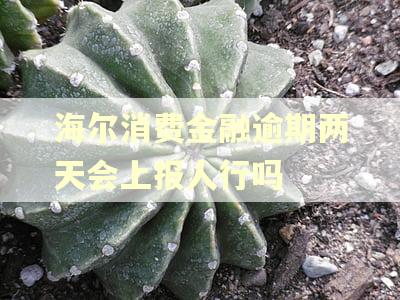 海尔消费金融逾期两天会上报人行吗
