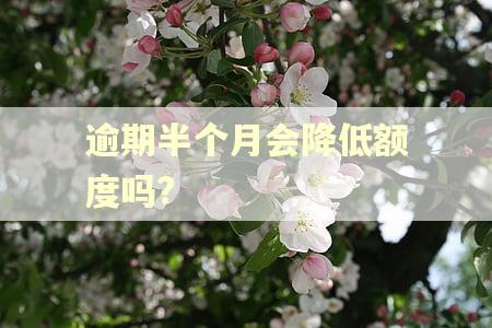 逾期半个月会降低额度吗?