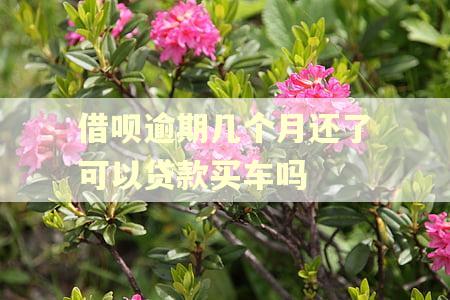 借呗逾期几个月还了可以贷款买车吗