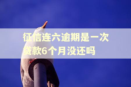 征信连六逾期是一次贷款6个月没还吗