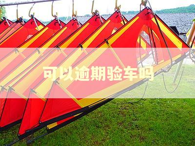 可以逾期验车吗