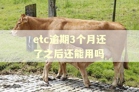 etc逾期3个月还了之后还能用吗