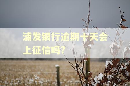 浦发银行逾期十天会上征信吗?