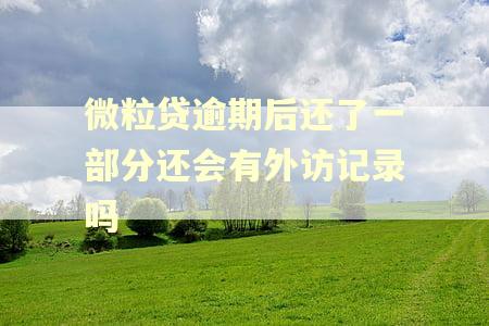 微粒贷逾期后还了一部分还会有外访记录吗