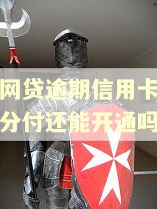 有网贷逾期信用卡逾期分付还能开通吗
