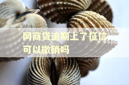 网商贷逾期上了征信可以撤销吗