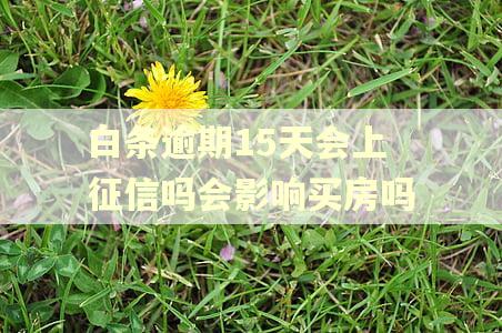 白条逾期15天会上征信吗会影响买房吗