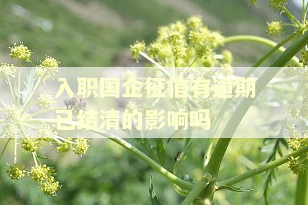 入职国企征信有逾期已结清的影响吗