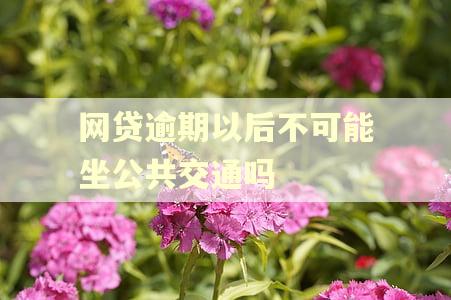网贷逾期以后不可能坐公共交通吗