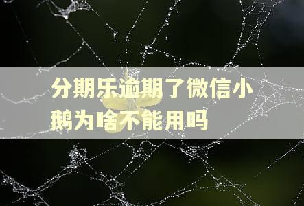 分期乐逾期了微信小鹅为啥不能用吗