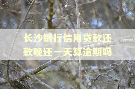 长沙银行信用贷款还款晚还一天算逾期吗