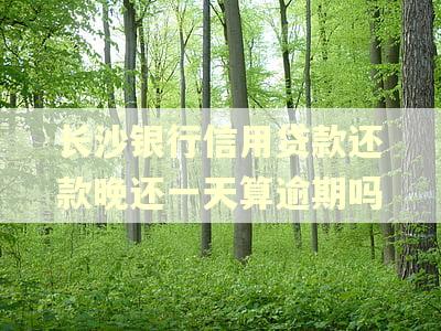 长沙银行信用贷款还款晚还一天算逾期吗