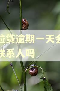 微粒贷逾期一天会联系联系人吗