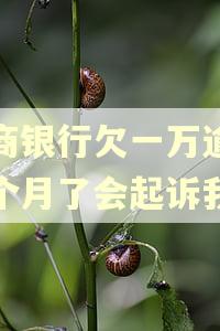 招商银行欠一万逾期三个月了会起诉我吗