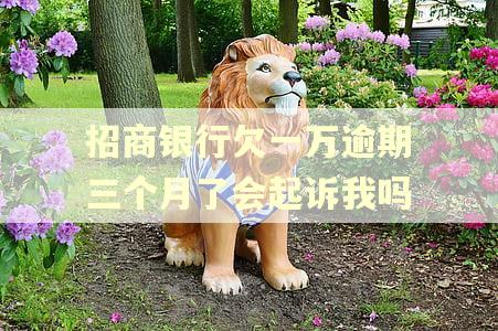 招商银行欠一万逾期三个月了会起诉我吗