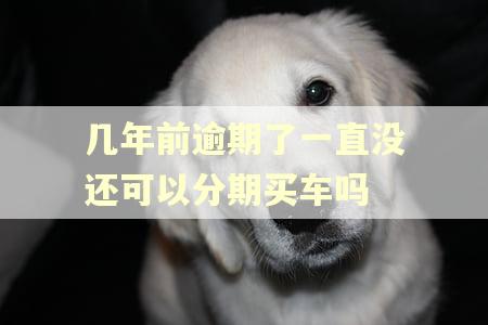 几年前逾期了一直没还可以分期买车吗