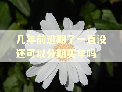 几年前逾期了一直没还可以分期买车吗