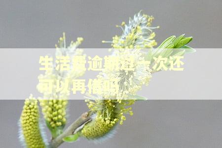 生活费逾期过一次还可以再借吗