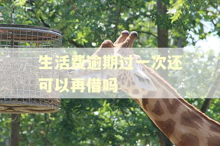 生活费逾期过一次还可以再借吗 生活费逾期过一次还可以再借吗