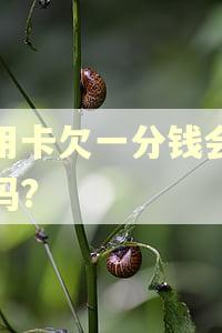 信用卡欠一分钱会逾期吗?