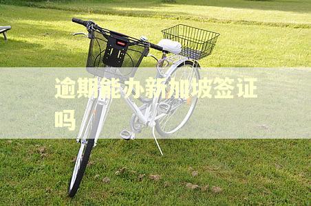 逾期能办新加坡签证吗