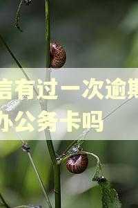 征信有过一次逾期可以办公务卡吗