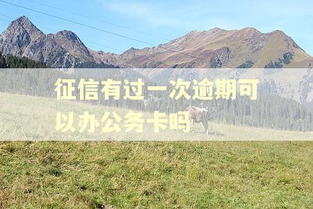 征信有过一次逾期可以办公务卡吗 征信有过一次逾期可以办公务卡吗
