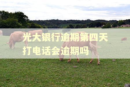 光大银行逾期第四天打电话会逾期吗
