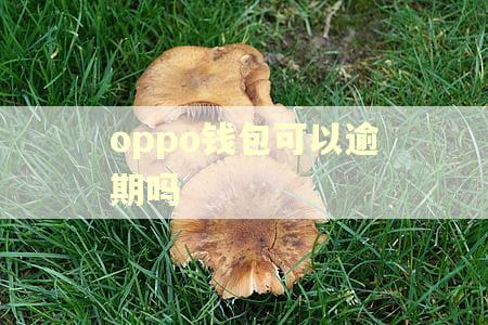 oppo钱包可以逾期吗