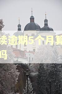 连续逾期5个月算黑户吗