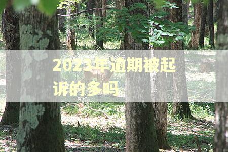 2023年逾期被起诉的多吗