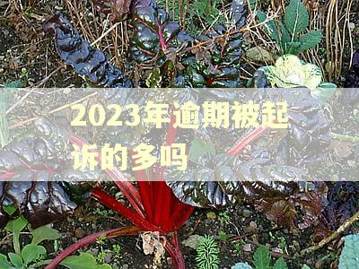 2023年逾期被起诉的多吗