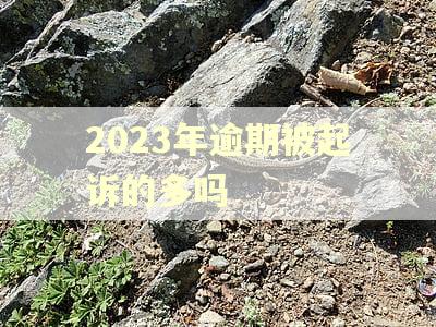 2023年逾期被起诉的多吗 2023年逾期被起诉的多吗
