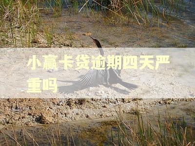 小赢卡贷逾期四天严重吗